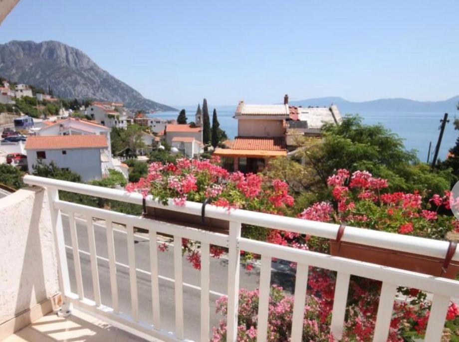 Vila Druzijanic Brist Esterno foto
